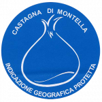 logo_castagna_montella